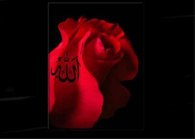 ALLAH OUAKBAR